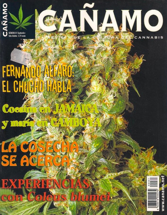 Número de septiembre de 2004 de Cáñamo, con el porno verde como bandera