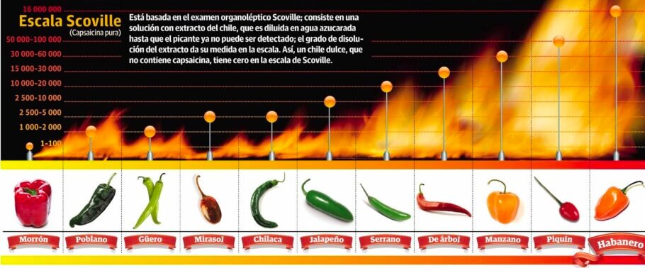 La escala Scoville: picante pero sabroso | Servicio de Información Agroalimentaria y Pesquera del Gobierno de México