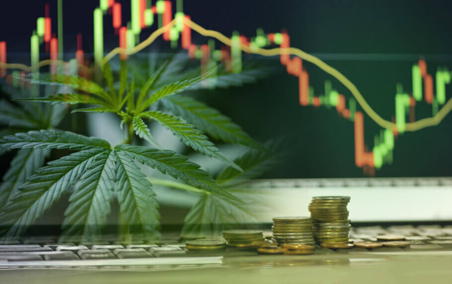 The cannabis market is one of the subjects covered in these courses.