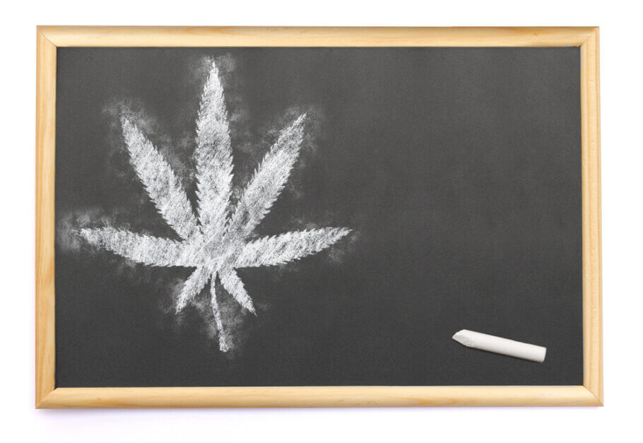 Cannabis finally enters the classroom