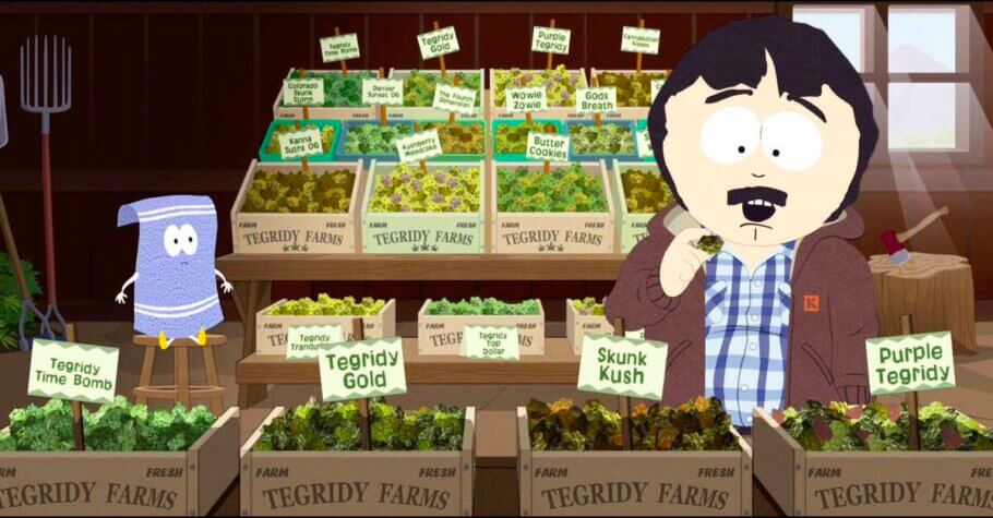 Randy Marsh is a geologist and a great musician. He's a genius but a complete idiot at the same time.