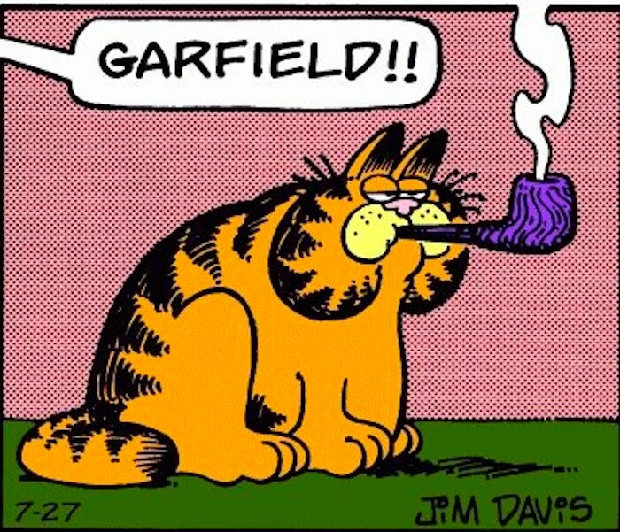 Garfield doesn't like it when people comment on his weight and believe me, you don't want to provoke him because his responses are always wild.