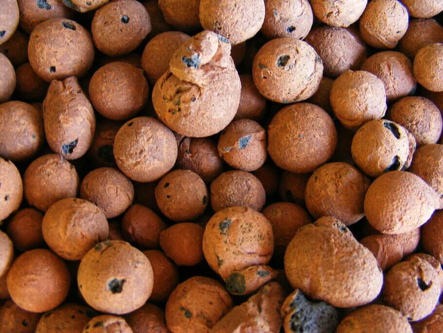 Expanded clay balls are a popular hydroponic medium
