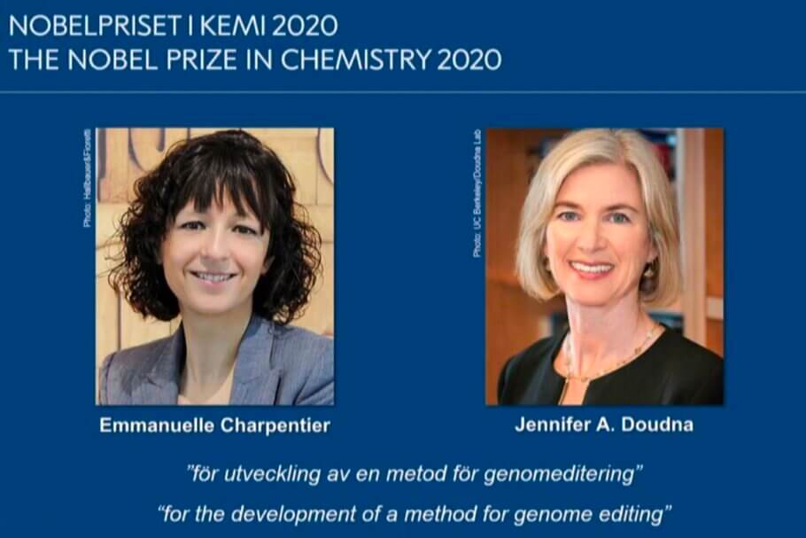 Emmanuelle Charpentier y Jennifer A. Doudna recibieron el premio Nobel de Química por su técnica que ha revolucionado la tecnología genética y les ha proporcionado algunos de los premios más importantes; entre ellos, el Princesa de Asturias de Investigación en 2015 