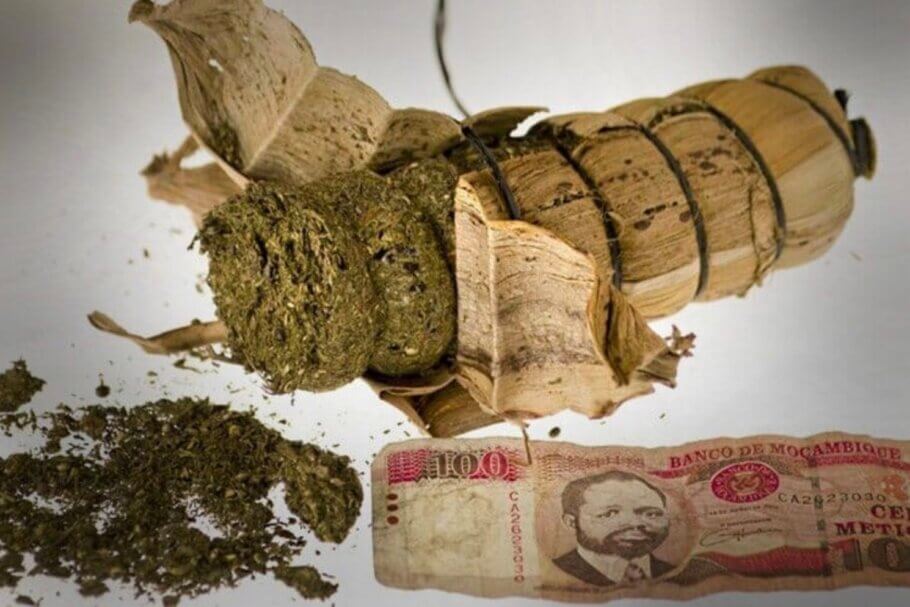 Formato de presentación de mazorcas de cannabis africanas (sin fermentar) para su venta al público