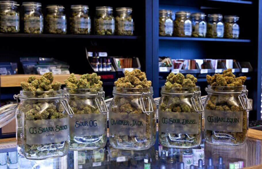 Cannabis curado expuesto para su venta al público en un dispensario de California