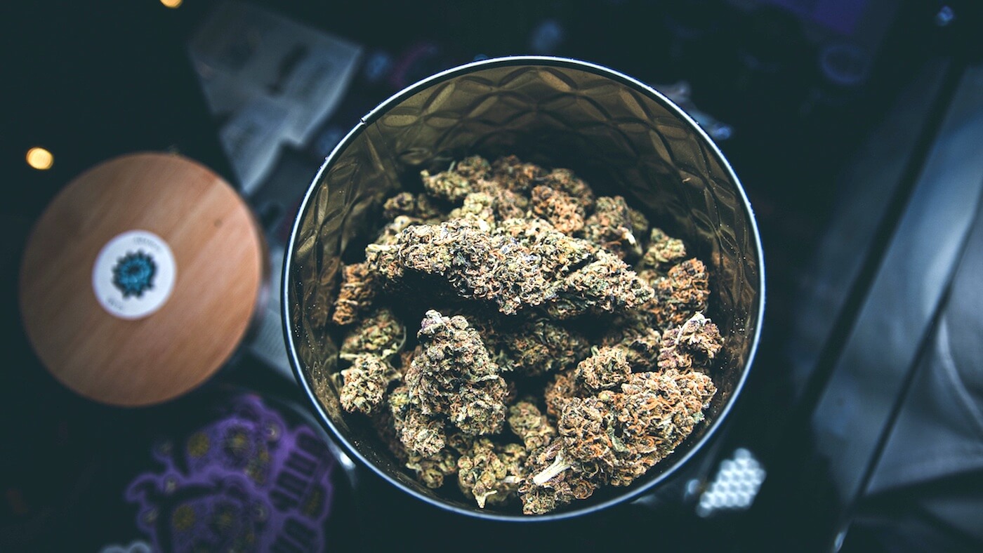 El curado del cannabis