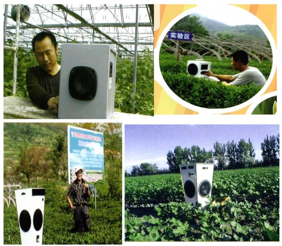 Researchers placing their speakers in the middle of crops to determine the relationship between music and growth (with bonus track of a photoshopped loudspeaker).