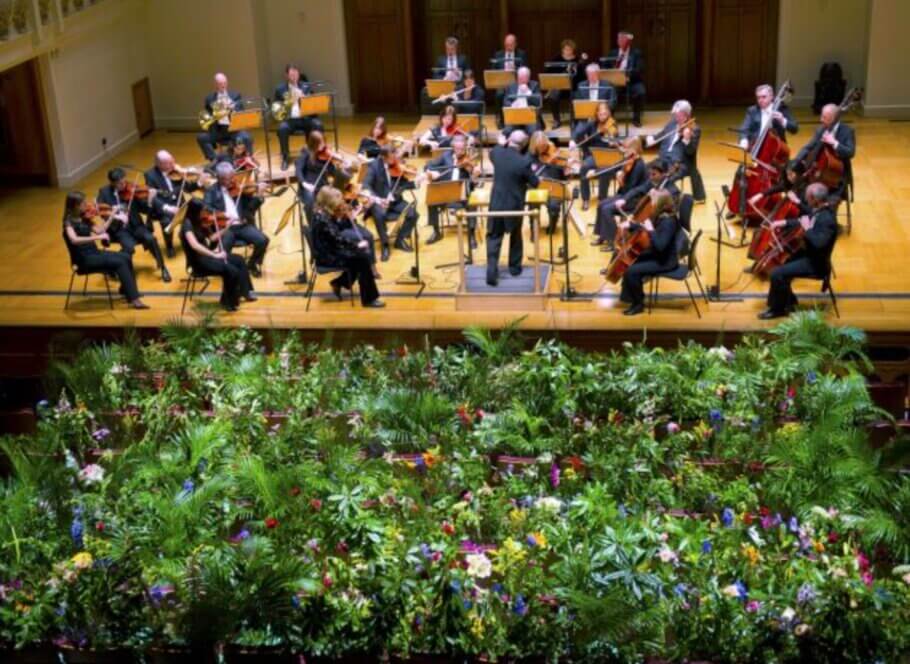 The Royal Philharmonic Orchestra, in a unique performance in the name of science. In 2011, the 33-member orchestra played a three-hour recital in an auditorium full of greenery to help test the theory that plants grow better when classical music is played. The results were never known, beyond how well it played in the media.