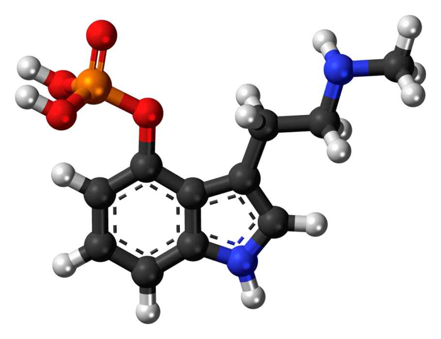 Molécula de baeocistina, un alcaloide comunmente encontrado en hongos psilocibios junto a la psilocibina y la psilocina
