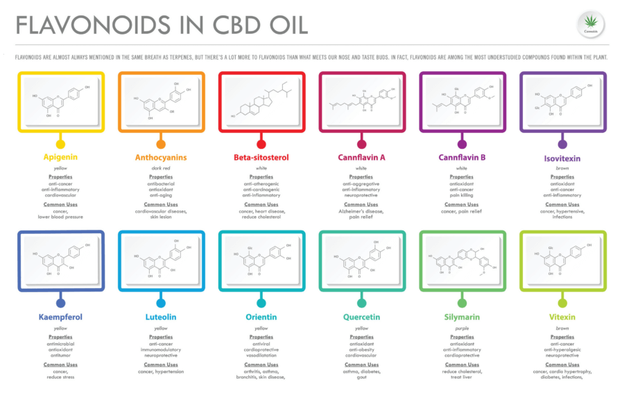 En la planta de cannabis pueden encontrarse varios flavonoides, entre ellos las cannaflavinas A, B y C