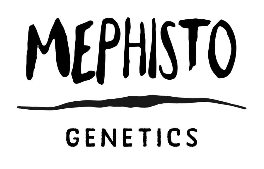 Mephisto Genetics nace en Gran Bretaña en 2012 con el objetivo de crear variedades auto de primer nivel