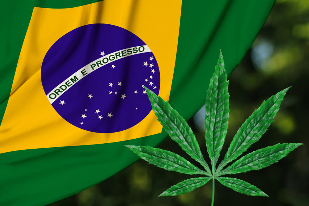 Cannabis y Brasil
