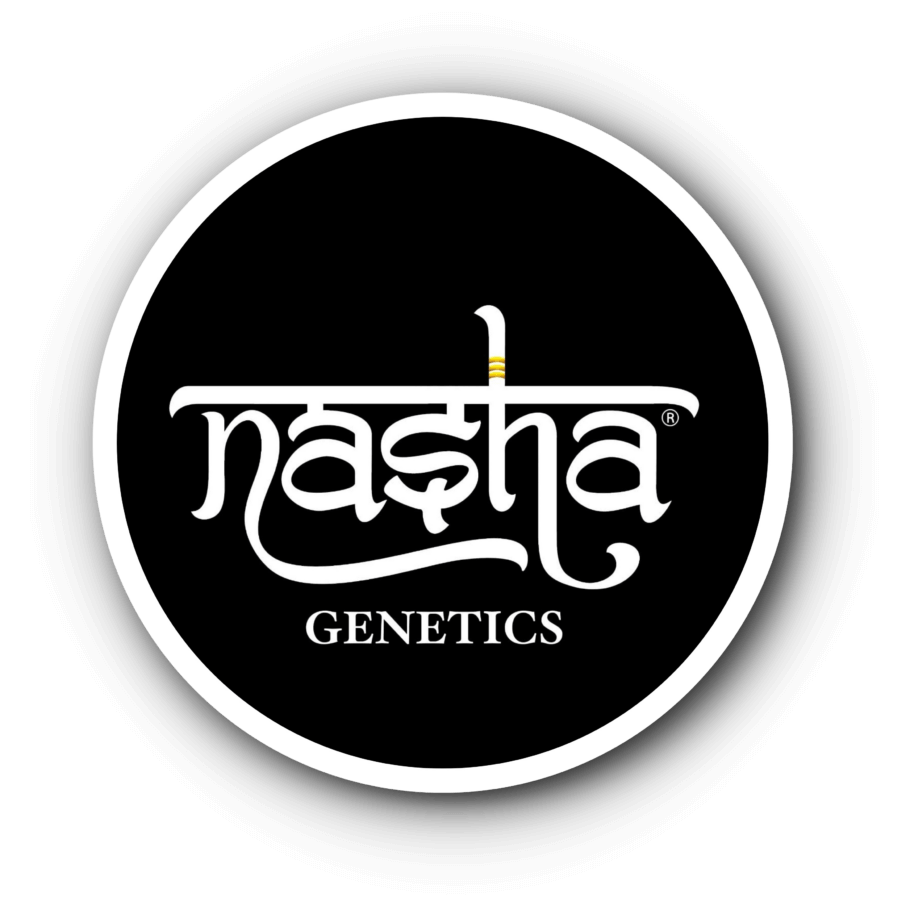 Nasha Genetics te ofrece genéticas exclusivas del más alto nivel