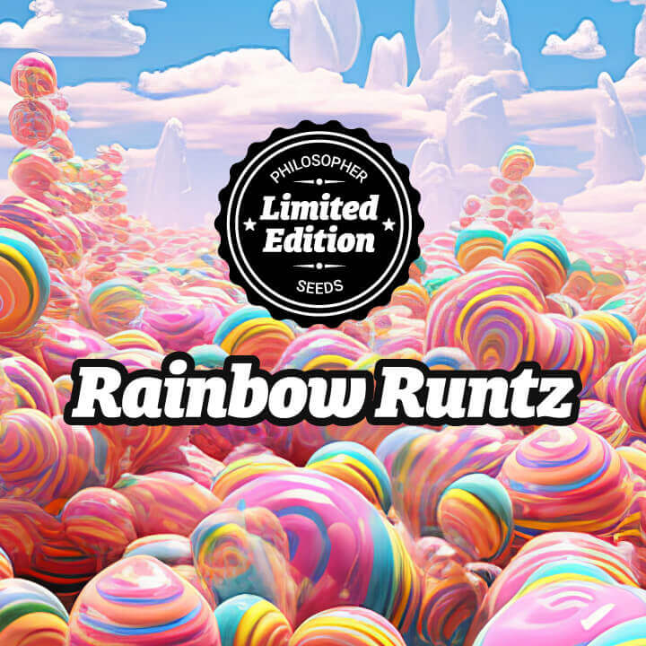 Rainbow Runtz, una explosion de sabores en tu paladar