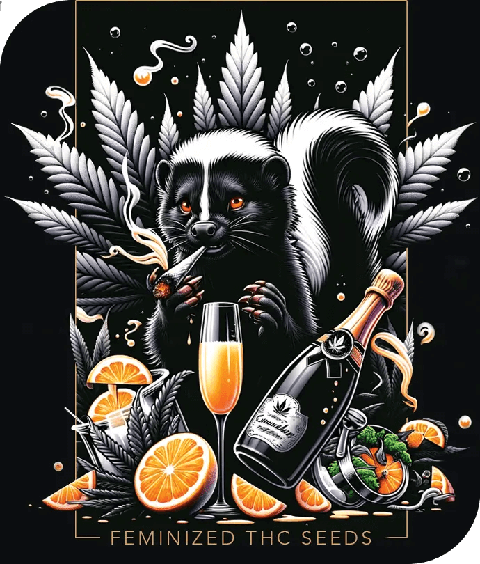Mimo M de The High Chameleon es ideal para salir de fiesta o disfrutar de reuniones con amigos