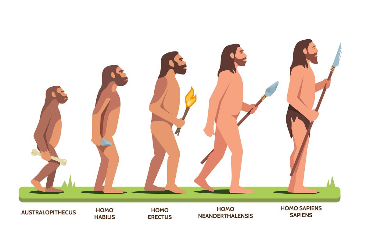 ¿Podrían sustancias psicoactivas como la psilocibina haber cambiado los procesos cognitivos de nuestros ancestros?