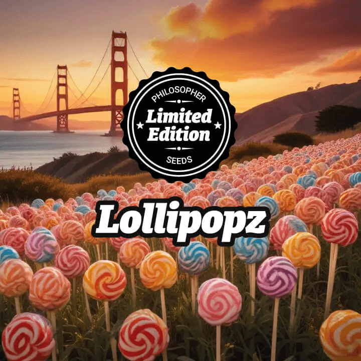 Lollipopz se ha destacado no sólo por su alto contenido en THC, también por su producción y sabor inigualable