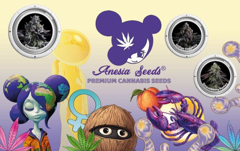 Entrevista a Tanja de Anesia Seeds