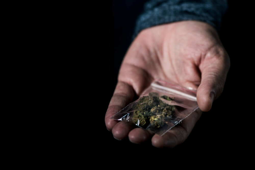 cannabis-y-mercado-negro-por-que-deberias-evitarlo