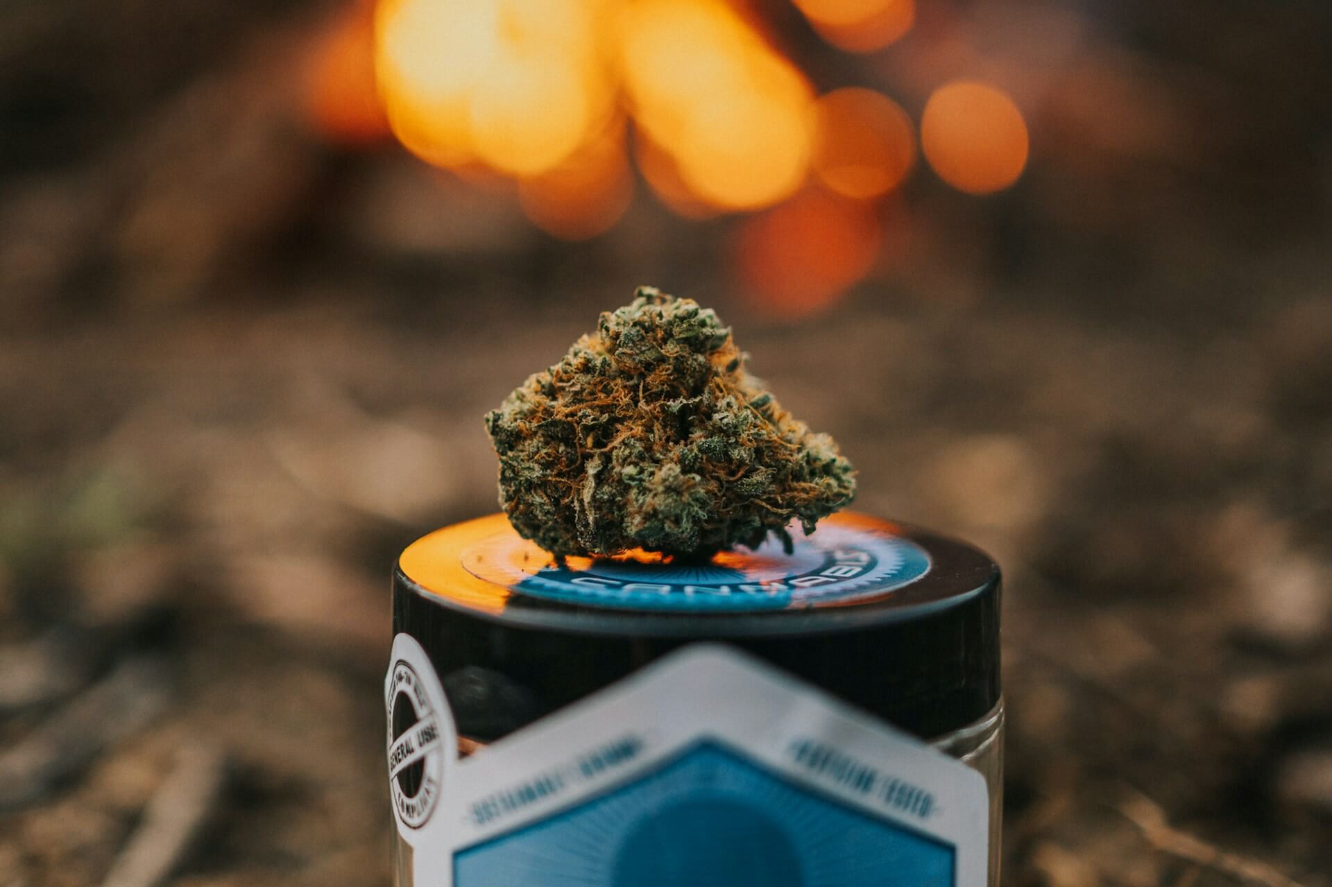 Cultivar variedades élite te permitirá conocer un nuevo mundo de sabores y efectos