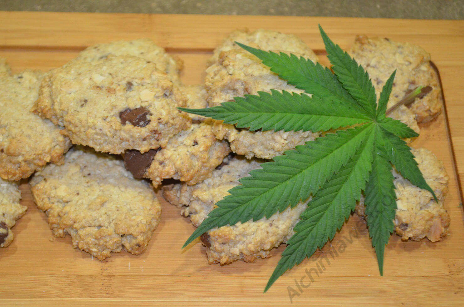 Space Cookies cannábicas elaboradas con mantequilla de cannabis hecha con aceite de coco