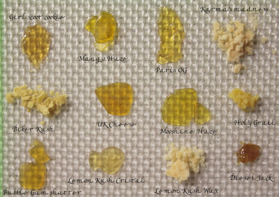 Diferents tipus d'extraccions de varietats de cànnabis