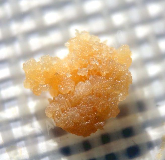 Extracció de resina Sour Diesel, Live resin