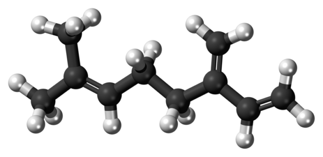 Molècula de mircè