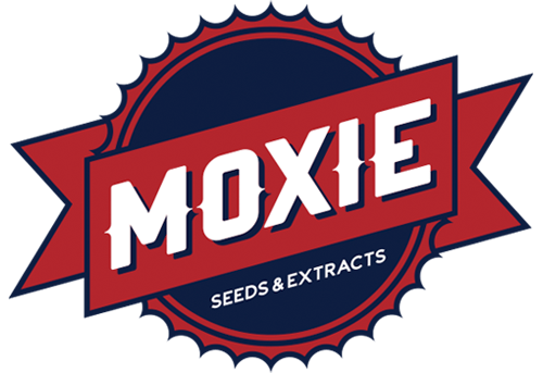 Llavors de Moxie Seeds disponibles a Alchimiaweb