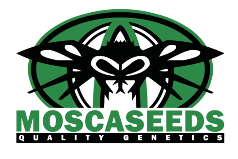 Logotip del banc Mosca Seeds