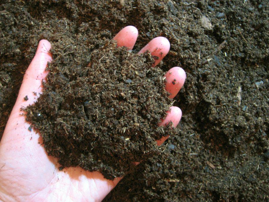 Un sòl sa és indispensable per a una collita generosa