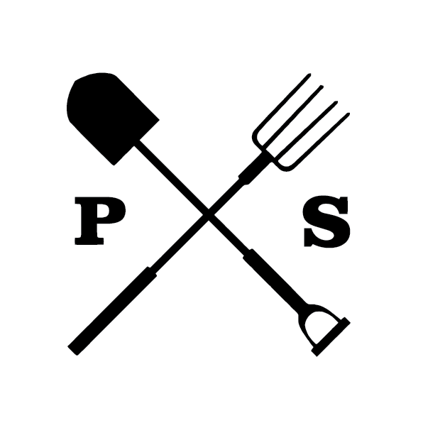 Logotip de Paisa Seeds