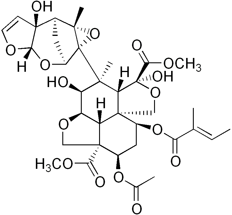Molècula de azadiractín, principal compost insecticida del Neem