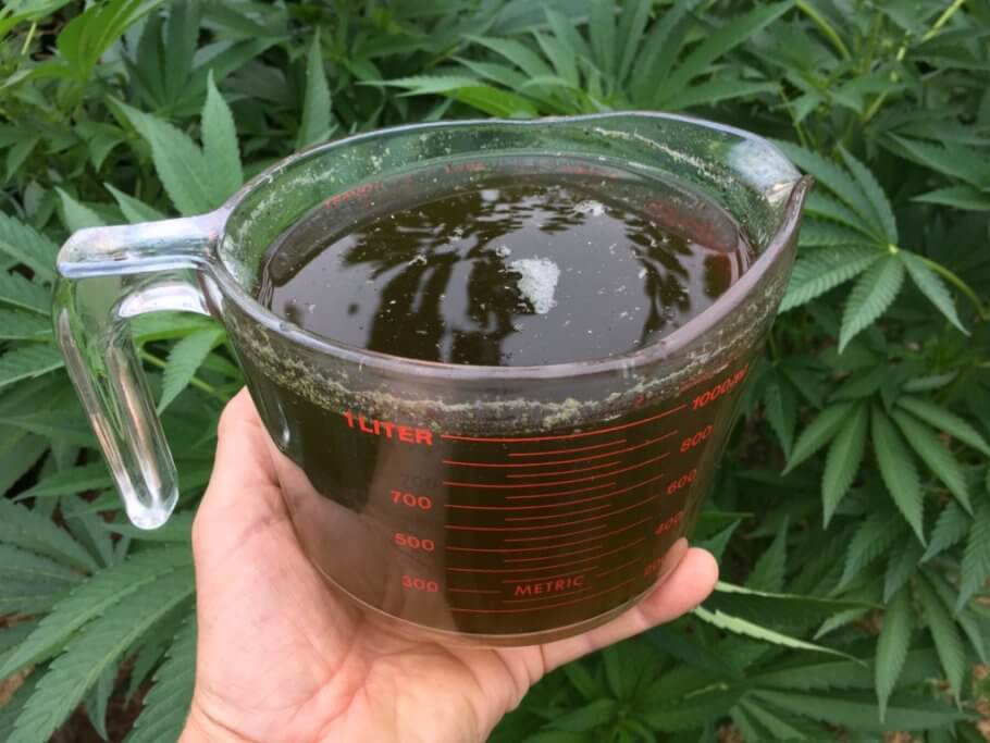 Te de compost i cultiu de Cànnabis