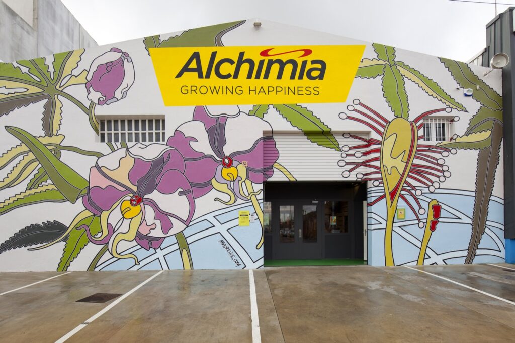 Actual botiga d'Alchimiaweb