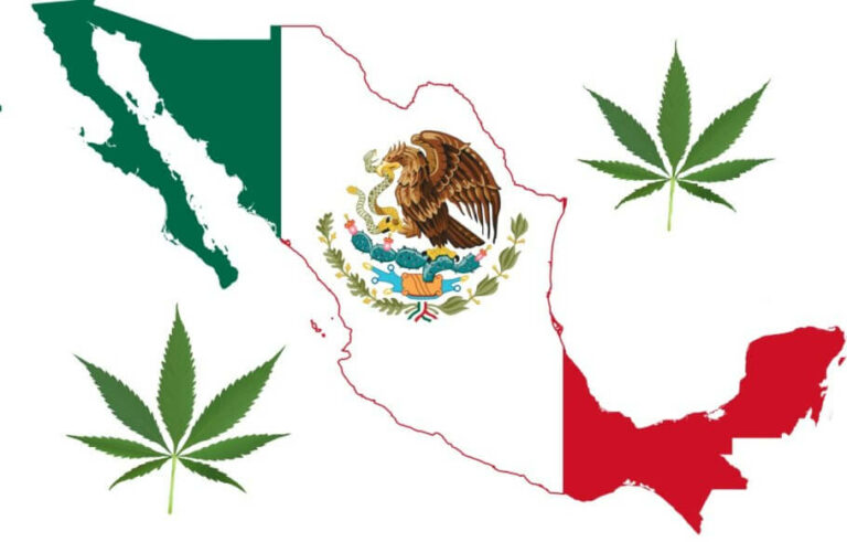 Mèxic i marihuana