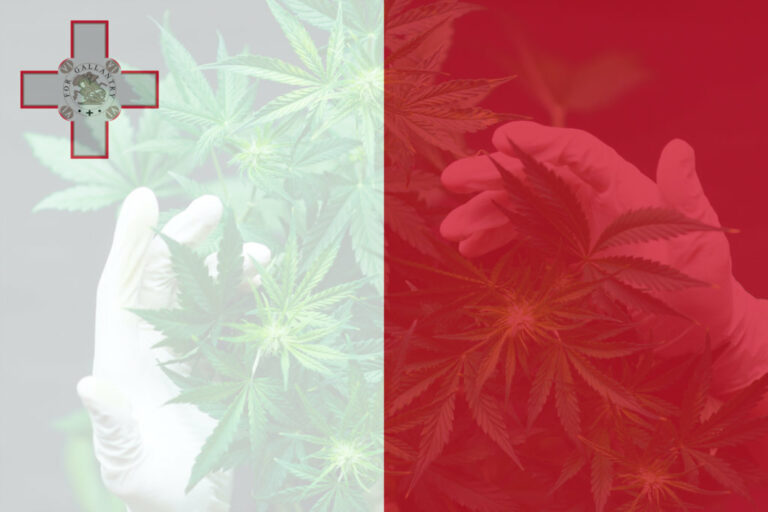 Malta: el primer país d'Europa a legalitzar el cànnabis recreatiu