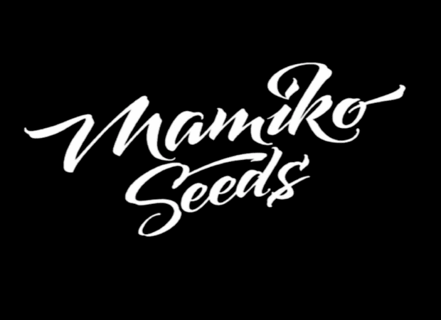 Noves varietats de Mamiko Seeds, en exclusiva en Alchimia