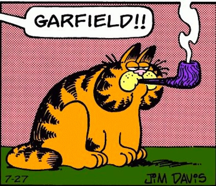 A Garfield no li agrada quan la gent comenta sobre el seu sobrepès i creu-me, no vols provocar-ho perquè les seves respostes són sempre salvatges