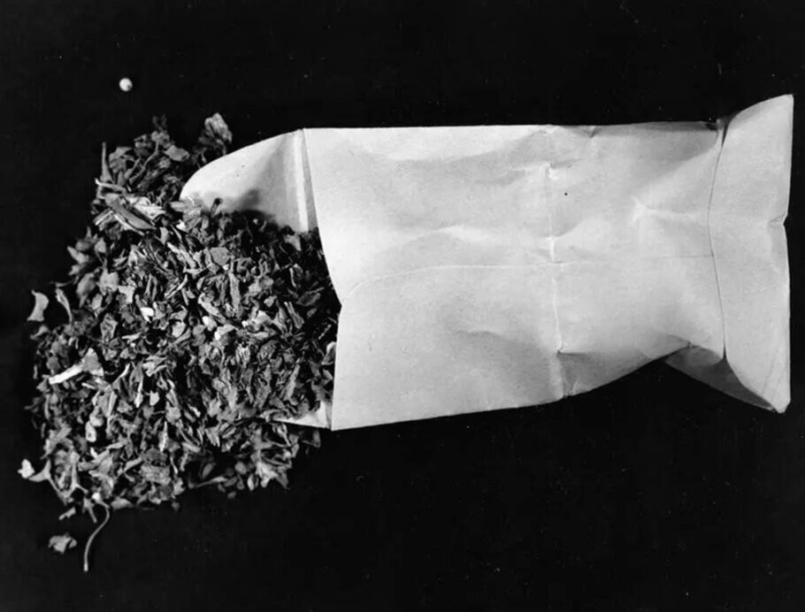 Paquets d'orenga venuts per la policia de D.C sota l'operació 'Oregano Scam' al carrer Chapin el 1981