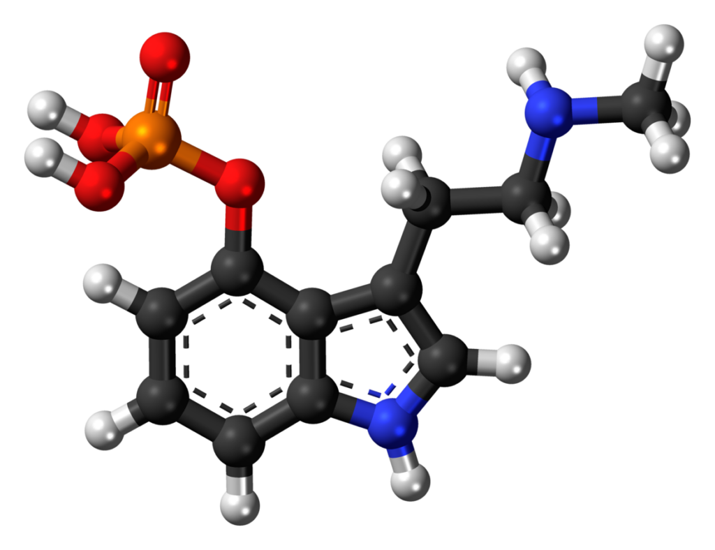 Molècula de baeocistina, un alcaloide comunment trobat en fongs psilocibis al costat de la psilocibina i la psilocina