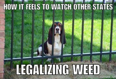 "Com et sents en veure altres Estats legalitzar l'herba"