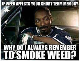 "Si fumar herba afecta la memòria a curt termini... com és que sempre aconsegueixo recordar-me de fumar-la?"
