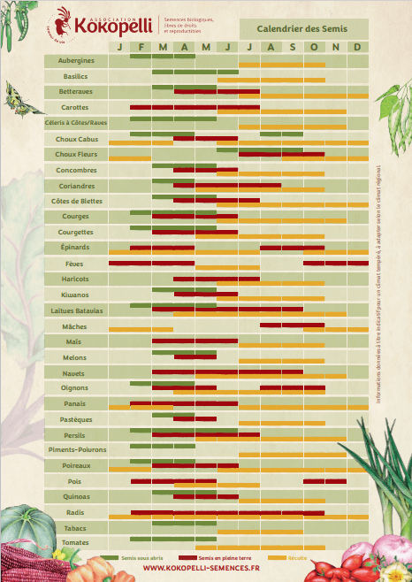 Calendari de sembra Kokopelli