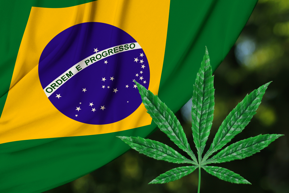 Cannabis i Brasil