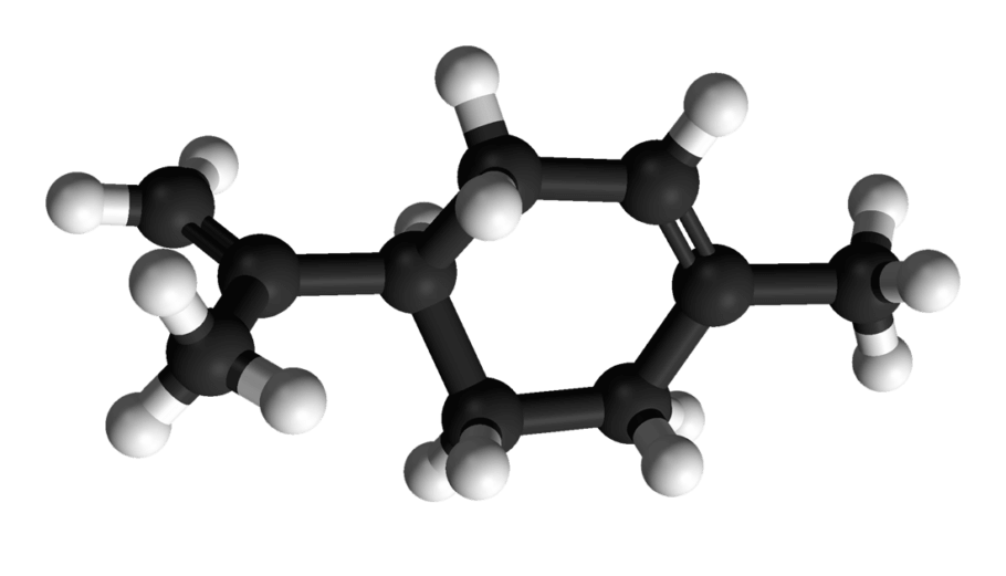 Limonen-Molekül