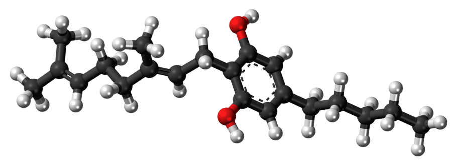 CBG-Molekül (Cannabigerol)