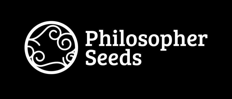 Philosopher Seeds erweitert seinen Katalog um zwei neue Sorten, Hardcore Gelato und AmnesiaZ