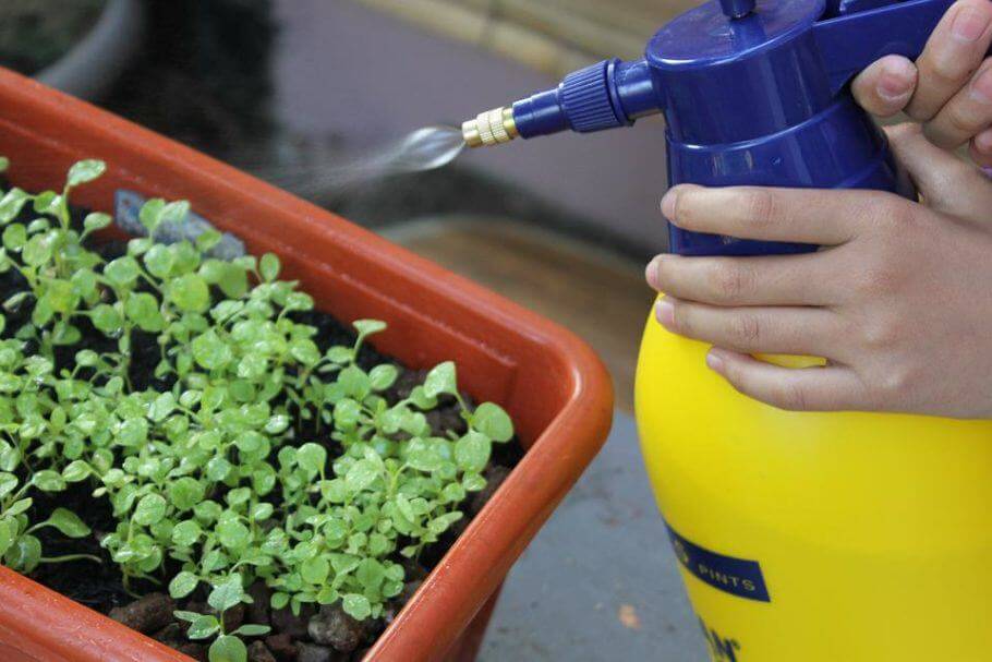 Manchmal wird nur ein kleiner Teil gespritzt, bevor der ganze Garten gespritzt wird